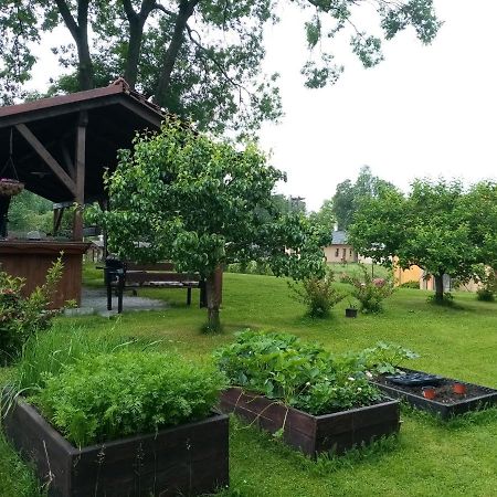 Mija Apartman S Vinnym Sklipkem, Zahradou A Grilem Каёв Экстерьер фото