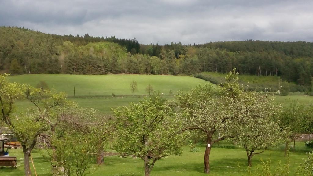 Mija Apartman S Vinnym Sklipkem, Zahradou A Grilem Каёв Экстерьер фото