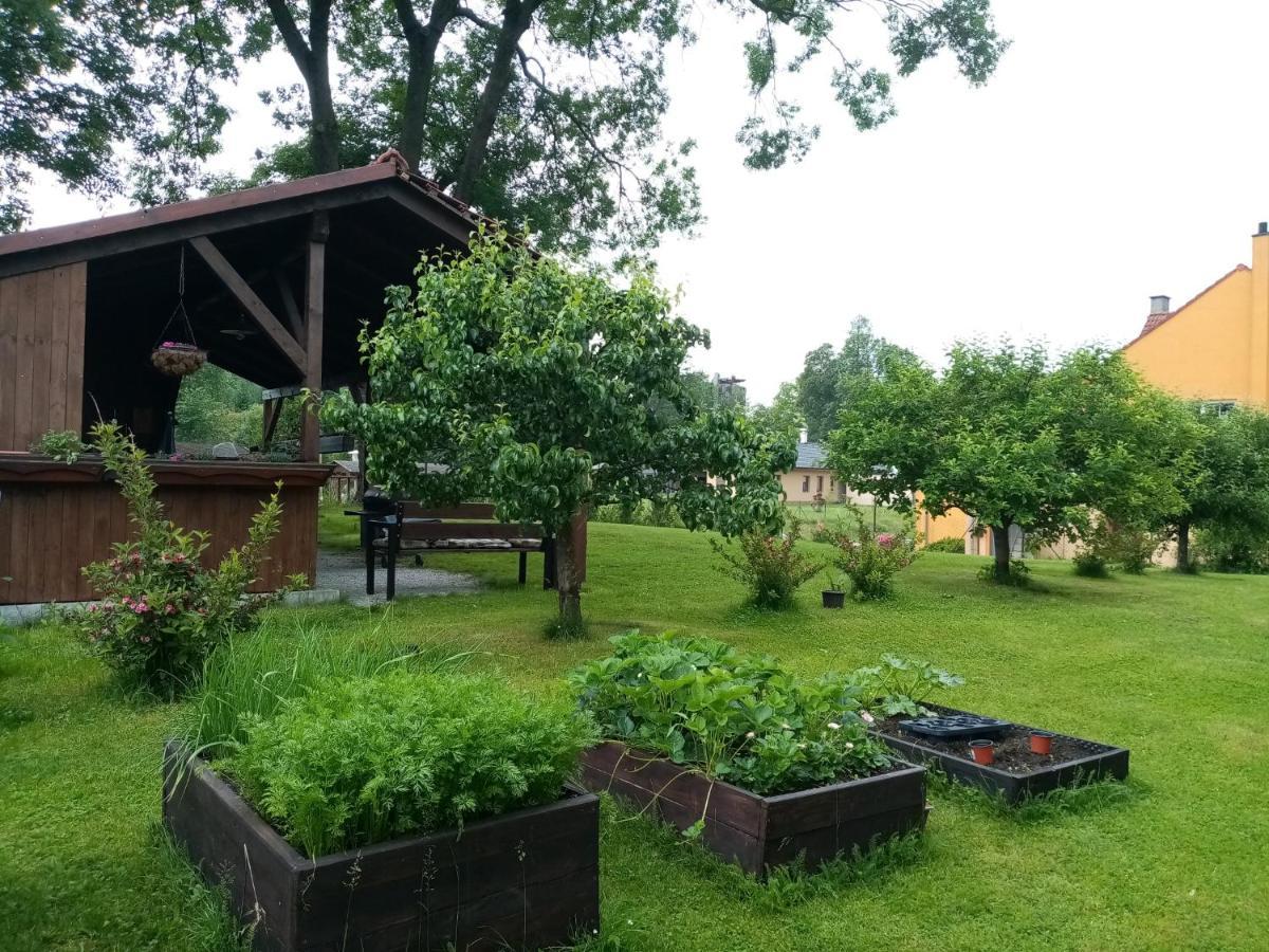 Mija Apartman S Vinnym Sklipkem, Zahradou A Grilem Каёв Экстерьер фото